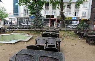 Bilecik’te çay bahçesinde bulunan dev ağaç devrildi