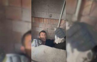 Bina boşluğuna düşen yavru kedi itfaiye ekiplerince...