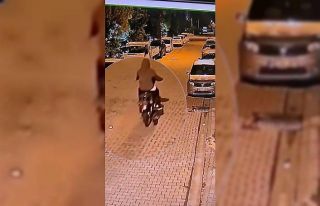 Bingöl’de motosiklet çalan 3 şüpheli yakalandı