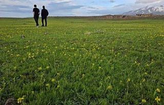 Bitlis’in saklı güzellikleri: Cil Gölü ve Sütey...