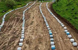 Bitlisli arıcılar yeni sezona hazır