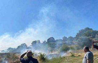 Bodrum’da zirai alan yangını
