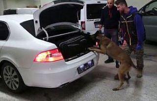 Bolu’da kaçakçılık operasyonunda 4 gözaltı