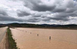Boztepe ilçesinde hasar tespit çalışmaları başladı