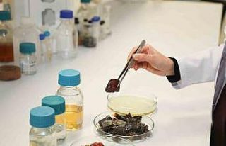 Bu ambalaj ürünlerin raf ömrünü uzatacak