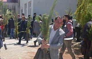 Bulanık’ta 5 bin çam fidanı dağıtıldı