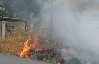 Burhaniye’de ot yangını korkuttu