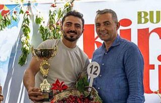 Burmahan’da ilk kez kiraz festivali düzenlendi
