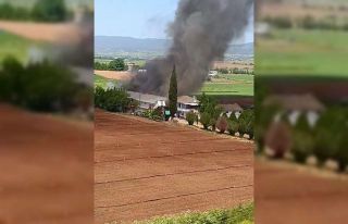 Bursa Yenişehir’de hayvan çiftliğinde büyük...