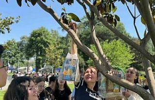 Bursa’da ağaçlar ‘kitap’ açtı