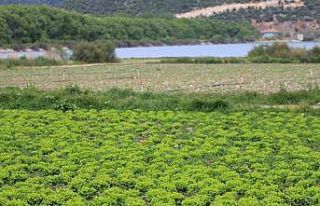 Bursa’da göl havzasındaki "yasa dışı"...