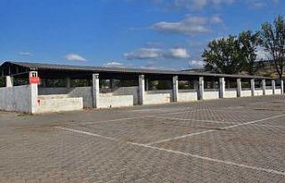 Bursa’nın Yenişehir ilçesinde şap karantinası