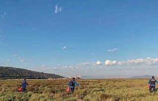 Büyükşehir Belediyesi’nden Güllük Mahallesi’nde...
