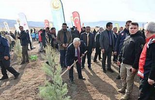 Büyükşehirden 6 yılda 750 bin fidan ile Kayseri’ye...