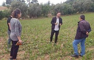 Büyükşehir’den dolu afetine karşı hızlı müdahale