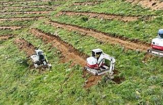 Çamardı’da 227 hektarlık alanda ağaçlandırma...