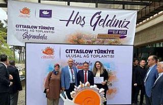 Çameli, Türkiye’nin 27., Dünyanın 306. ‘Sakin...