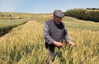 Çanakkale’de tarla günü düzenlendi