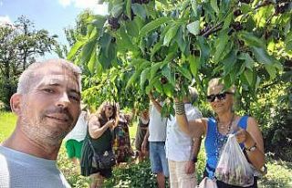 Çanakkale’yi turistlere tanıtmak için bahçelerinden...