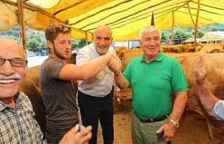 Canik’te kurbanlıklar görücüye çıktı