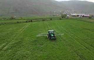 Cann gübre Erzurum çiftçisine can simidi oldu