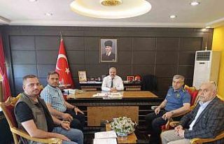 Çarşamba’da gündem sokak hayvanları