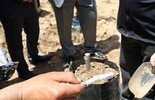 Ceviz üretiminde verim artışı için Günyüzü’nde...