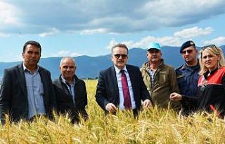 Çiftçiler Günü’nde üretim coşkusu Çıkrıkçı’da...