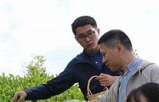 Çin’den gelen akademisyenler Rize’de çay topladı