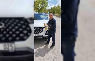 Cipin motor kısmına sıkışan yavru kediyi itfaiye...