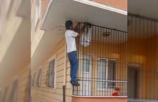 Çıplak elle yüzlerce arının arasına girdi