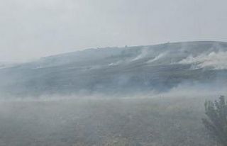 Çivril’de otluk alanda yangın çıktı