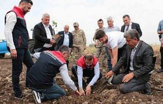 Cizre’de 2,5 milyon TL değerinde 50 çiftçiye...