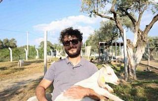 Çocuğuna taze süt içirmek için keçi aldı, kendisini...