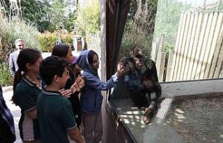 Çocuklar hayvanat bahçesini gezdi