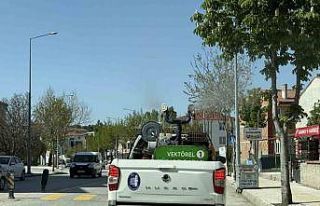 Çorum Belediyesi ekipleri vektörel mücadele için...