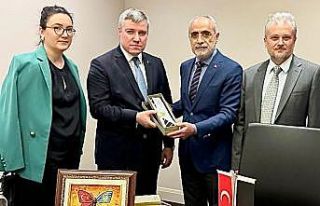 Cumhurbaşkanı Başdanışmanı Topçu: "Hindistan’ın...