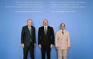 Cumhurbaşkanı Erdoğan, Aliyev ve Şerif ile aile...