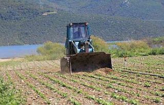 Devlet çiftçiye "ekin" diyor, DSİ ekili...
