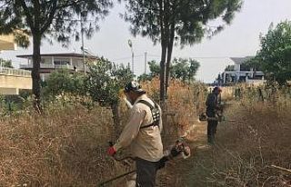 Didim Belediyesi’nden ’kuru ot’ seferberliği