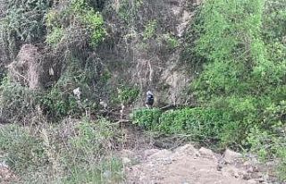 Dilenci önde zabıta amiri arkada adeta maraton koşusuna...