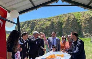 Diyadin’de rengarenk uçurtmalar gökyüzünü süsledi