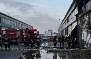 Diyarbakır’da kepenk tamiri sırasında çıkan...