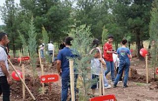 Diyarbakır’da "Koruyucu Aile Hatıra Ormanı"...