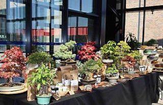 Doğa ve sanat tutkunları bonsai sanatı ile tanıştı