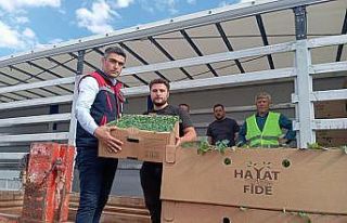 ‘Domates Yetiştiriciliğinin Geliştirilmesi’...