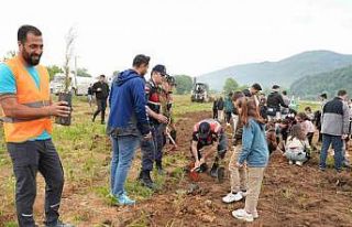 Dünya iklim gününde fidan diktiler