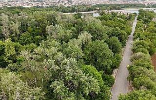 Edirne Millet Bahçesi’ne kavuşuyor