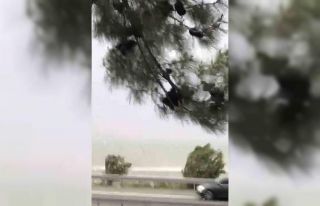 Elazığ’da fırtına etkili oldu