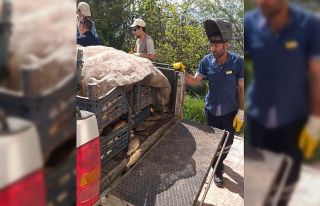 Elazığ’da kaçak avlanan 700 kilogram balık ele...